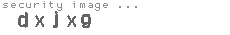 security image