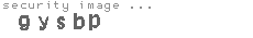 security image