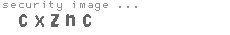 security image
