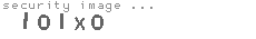 security image