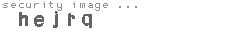 security image