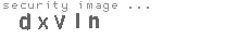 security image