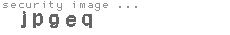 security image