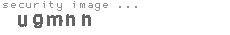 security image