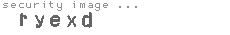 security image