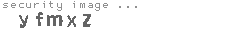 security image
