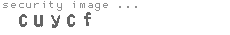 security image