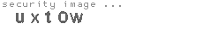 security image
