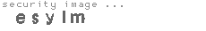 security image