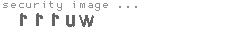 security image