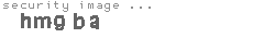 security image