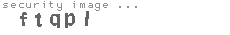 security image