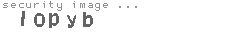 security image