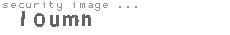 security image