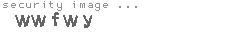 security image