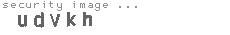 security image