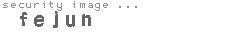 security image
