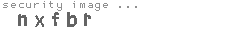 security image