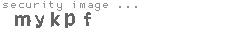 security image