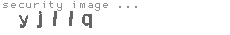 security image