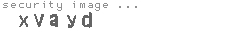 security image
