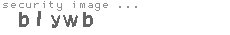 security image