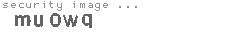 security image