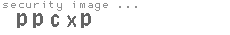 security image