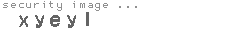 security image