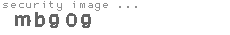 security image