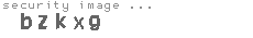 security image
