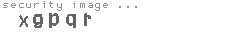 security image