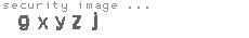 security image