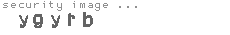 security image