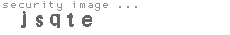 security image