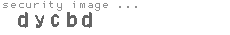 security image