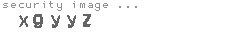 security image