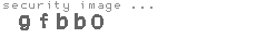 security image