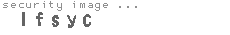 security image
