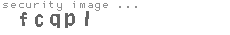 security image