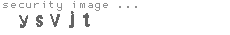 security image