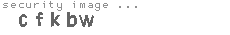 security image