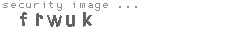 security image