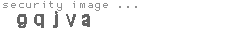 security image