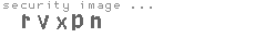 security image