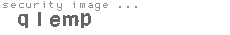 security image