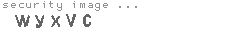 security image