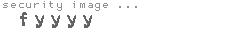 security image