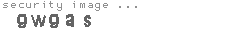 security image