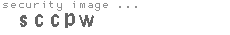 security image